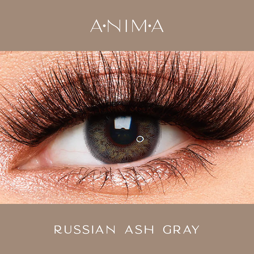 RUSSIAN ASH GRAY